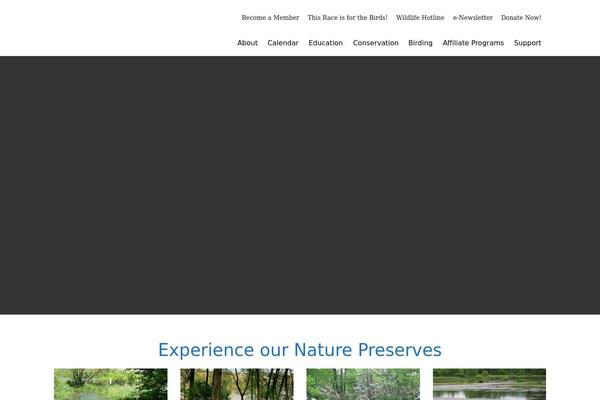 Highend theme site design template sample