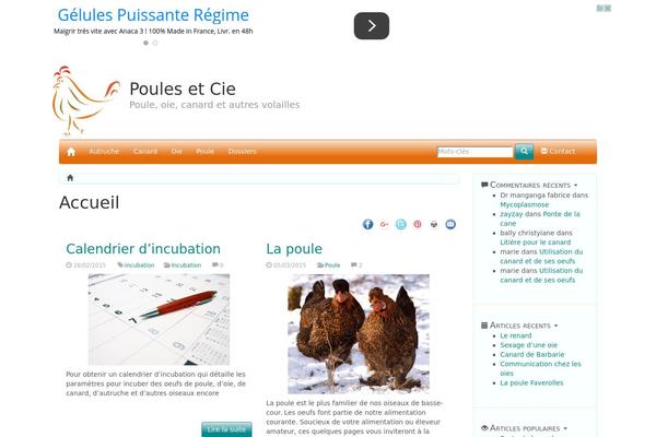poulesetcie.com site used TechMagazine