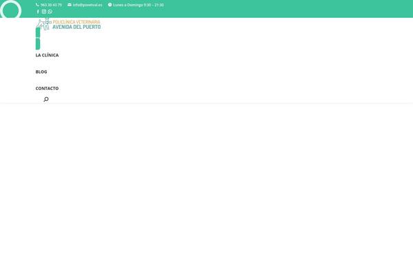 The7 theme site design template sample
