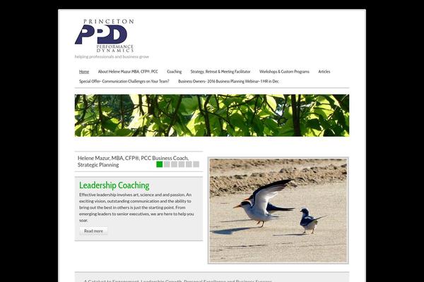 ppdbusinesscoaching.com site used Zeecorporatepro