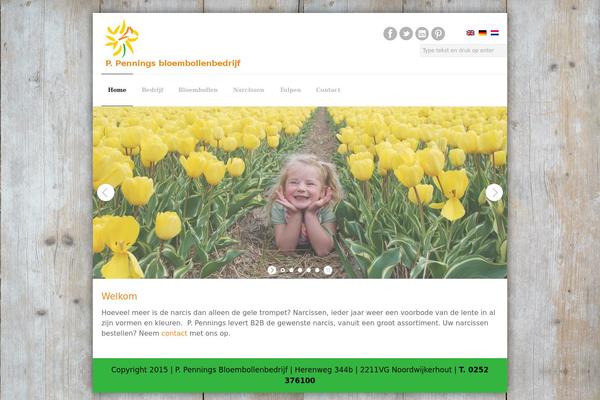 Yourcompany theme site design template sample