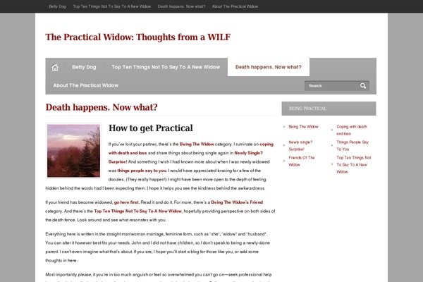 practicalwidow.com site used Myjournal