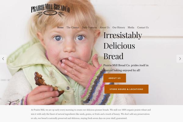 Salient theme site design template sample
