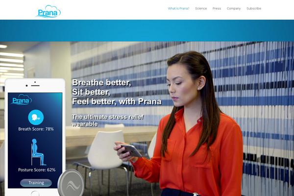 Site using MailChimp List Subscribe Form plugin