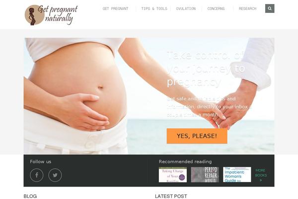 pregnant-naturally.com site used Mts_steadyincome-3