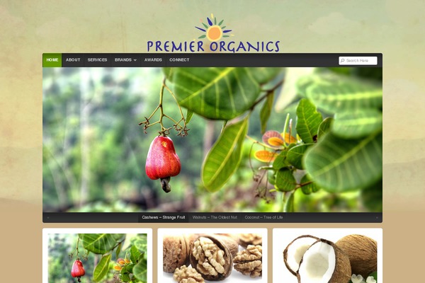 Natural theme site design template sample