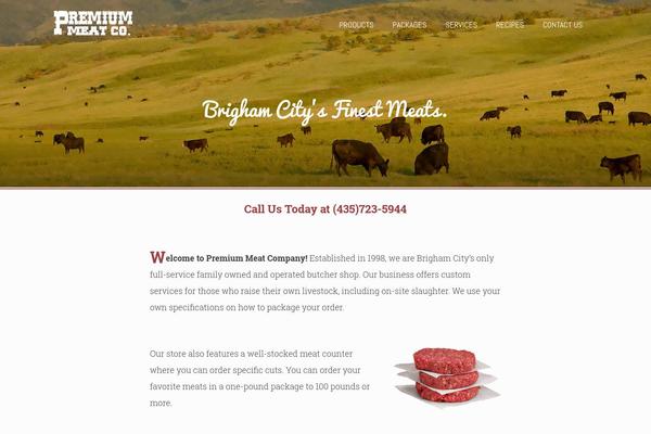 essigbase theme websites examples