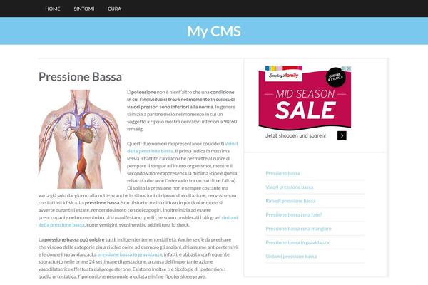 WordPress website example screenshot