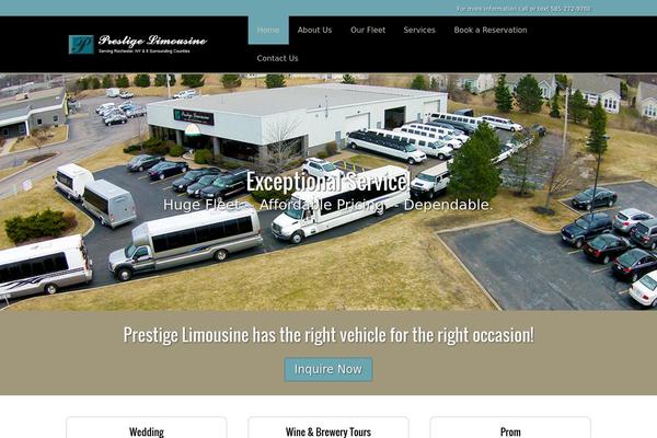 Pro theme site design template sample