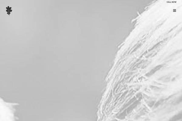 Bridge theme site design template sample