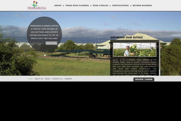 WordPress website example screenshot