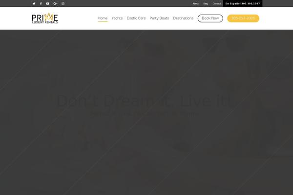 Salient theme site design template sample