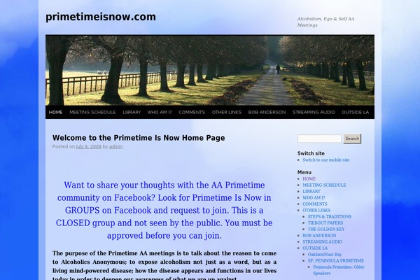 Twenty Ten theme site design template sample