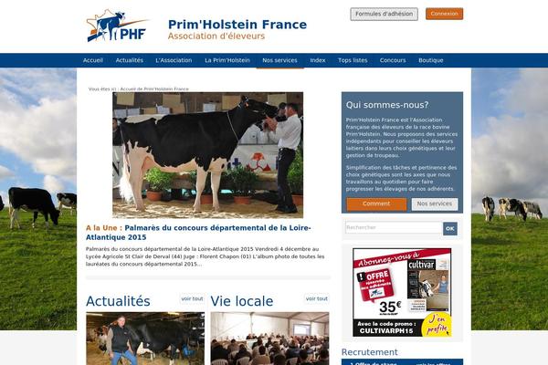 Site using Publicites plugin