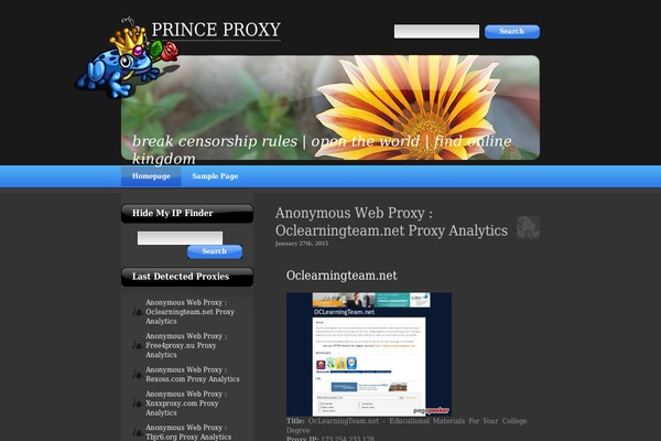 princeproxy.com site used 911proxy