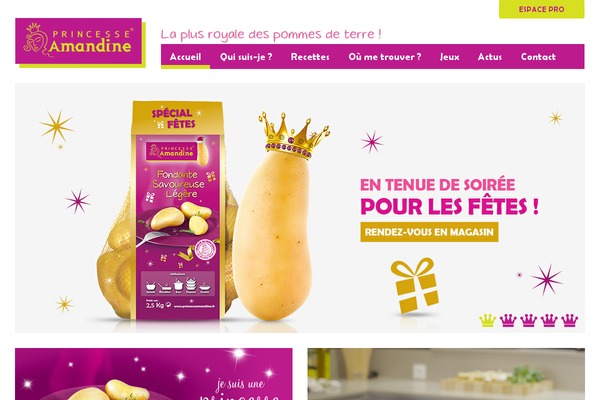princesseamandine.fr site used Princesse