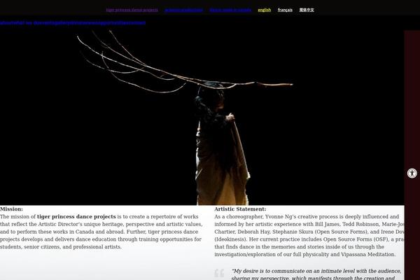 WordPress website example screenshot