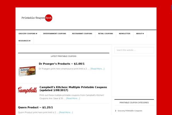Site using Widget-options plugin