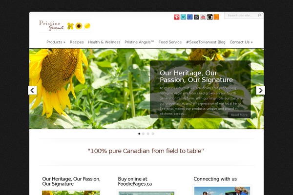 Chameleon theme site design template sample