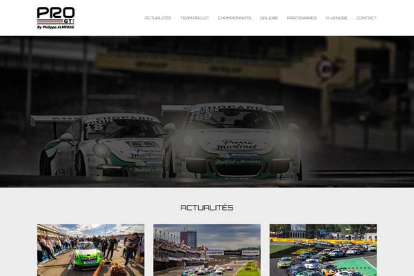 pro-gt.com site used Pro-gt