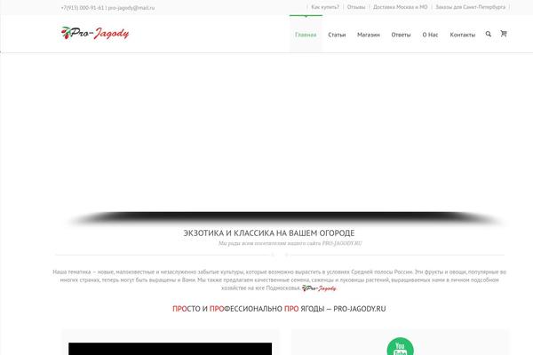 Lexon theme site design template sample