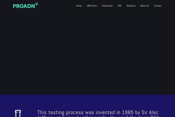 BeTheme theme site design template sample