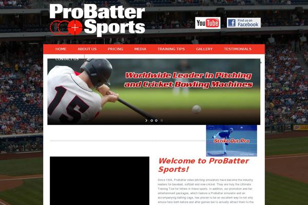 probatter.com site used Zidex-child
