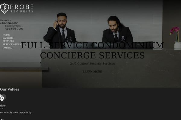 probesecurity.com site used Probesecurity