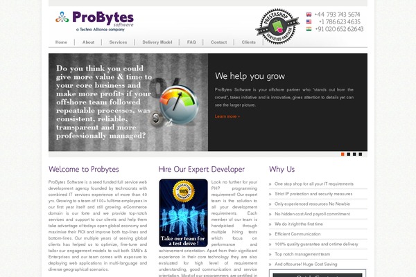 probytes.net site used Probytes_theme