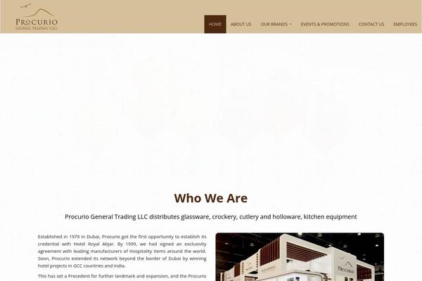 B-i-g theme site design template sample