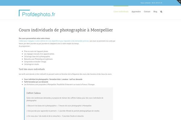 Avada theme site design template sample