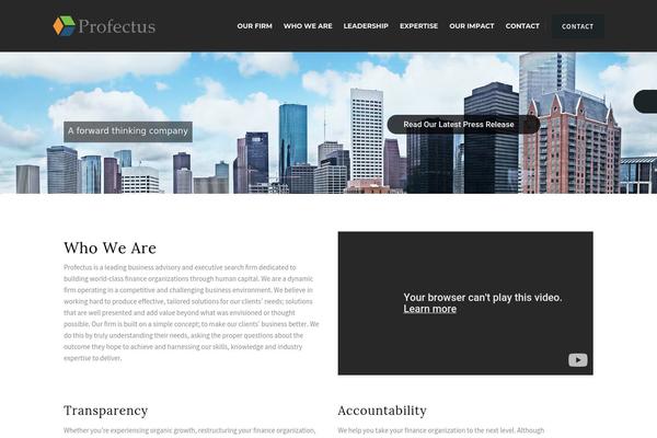 profectusllc.com site used BizBuzz