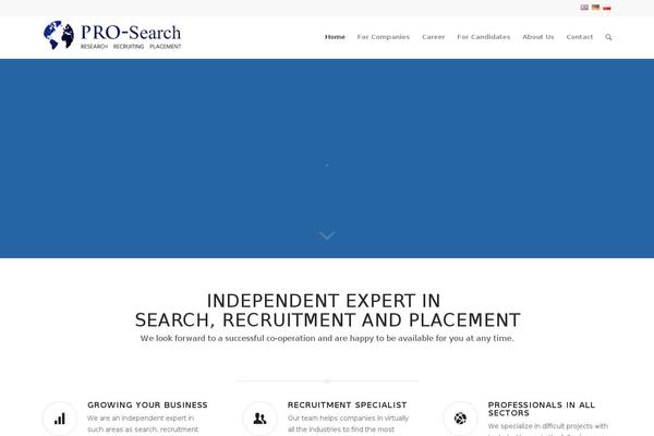 professional-search.eu site used Prosearch