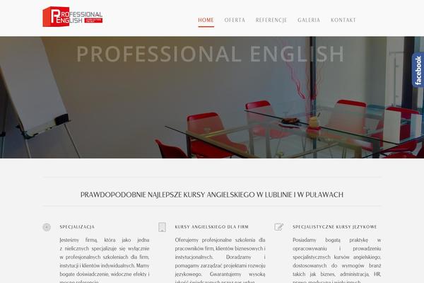 professionalenglish.pl site used Thekeynote-v1-05