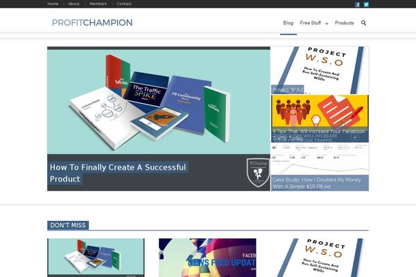 WordPress website example screenshot
