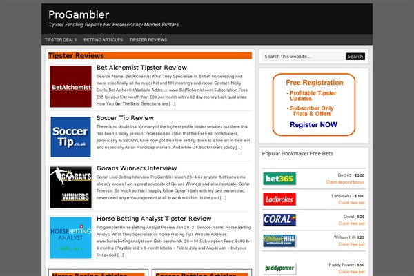 WordPress website example screenshot