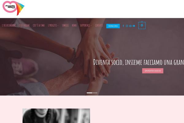 Site using Wp-show-posts plugin