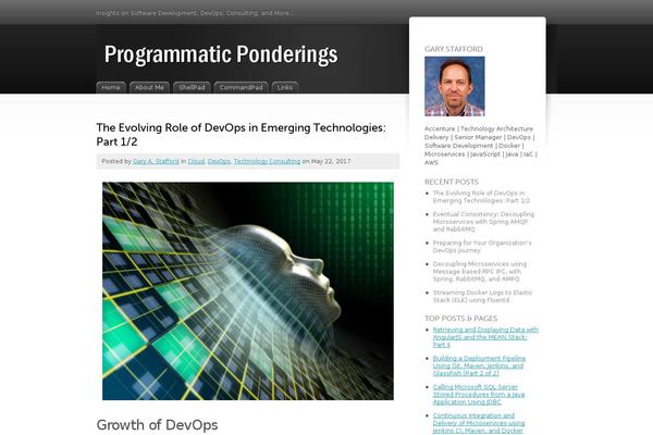 Site using SyntaxHighlighter Evolved plugin