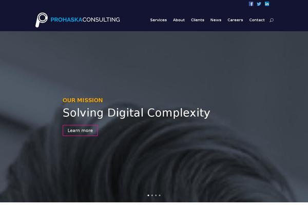 d5-business-line-extend theme websites examples