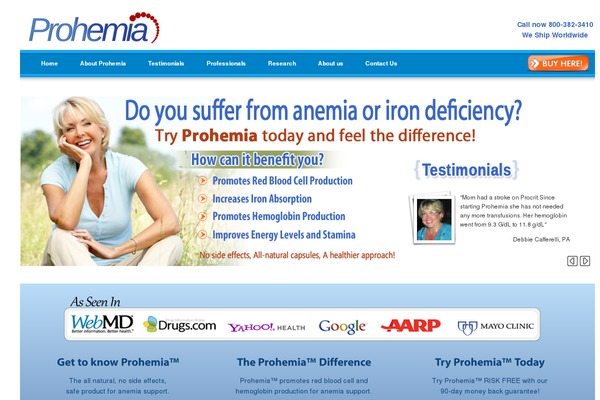 WordPress website example screenshot