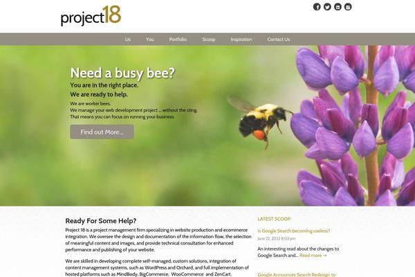 project18.com site used Dsquark