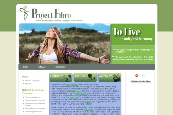 projectfibro.com site used Theme993