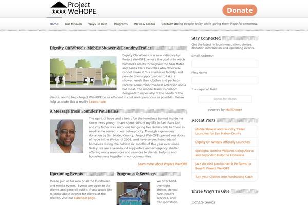 DonateNow theme site design template sample