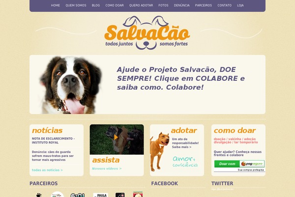 projetosalvacao.org.br site used Salvacao