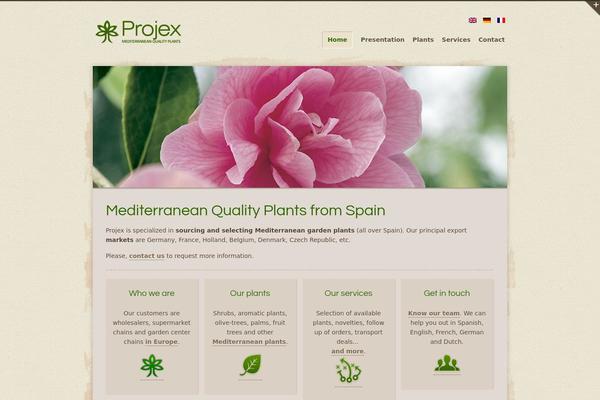 projexsl.com site used Organic Web