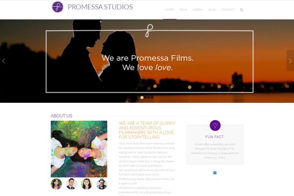 WordPress website example screenshot