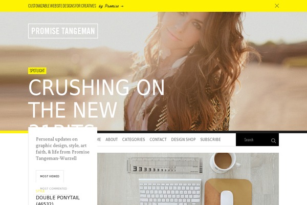 promise WordPress theme, websites list used promise theme promise theme websites examples