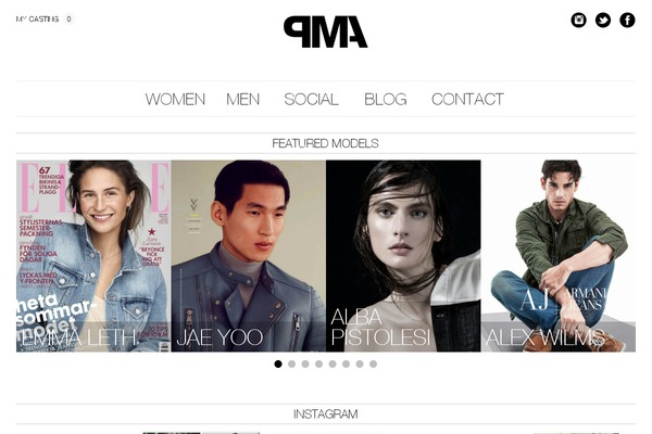 pma theme websites examples