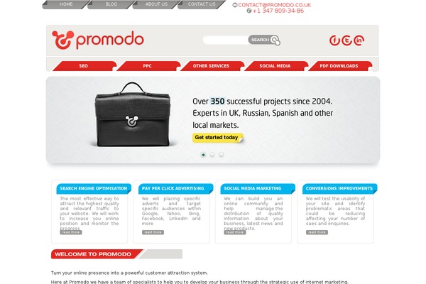 WordPress website example screenshot