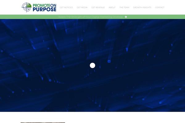promoteonpurpose.com site used Promoteonpurpose